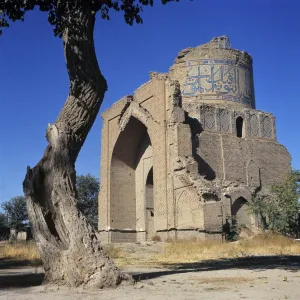 Bukhara Prints: Uzbekistan, Bukhara. A bent, twisted tree mimics the lines of this ruined mosque in Bukhara