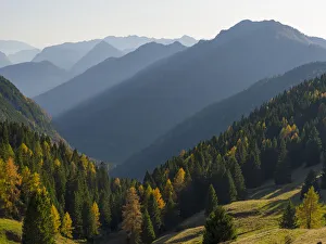 Dolomite Prints: Val d Algone. Dolomiti di Brenta, part of UNESCO World Heritage Site. Italy, Trentino