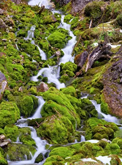 Northern Italy Prints: Vallesinella Falls, Cascate Alte