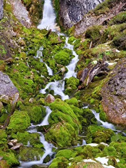 Northern Italy Prints: Vallesinella Falls, Cascate Alte