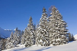 Images Dated 26th January 2012: Valley Gaistal with snow during deep winter in Tyrol