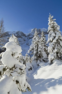 Bucolic Prints: Valley Gaistal with snow during deep winter in Tyrol, Austria