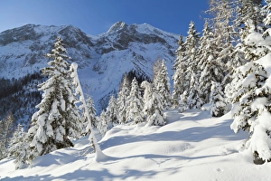 Images Dated 26th January 2012: Valley Gaistal with snow during deep winter in Tyrol, Austria