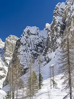 Images Dated 13th March 2014: Valley Innerfeldtal (Val Campo di Dentro) in the Sexten Dolomites, part of UNESCO