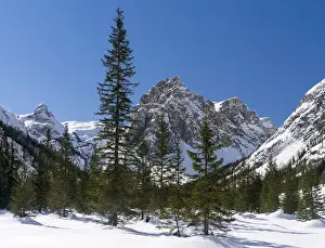 Images Dated 13th March 2014: Valley Innerfeldtal (Val Campo di Dentro) in the Sexten Dolomites, part of UNESCO