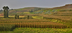 Farm Land Prints: Valley just before going into the Dongchuan Red Lands