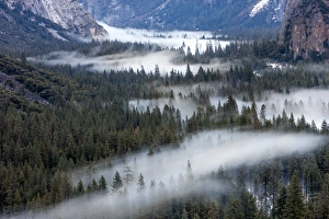 Environmentalism Prints: Valley mist. Yosemite, California, US