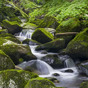 Lonely Prints: Valley of river Wolfsteiner Ohe (Buchberger Leite) in the Bavarian Forest