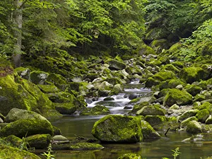Images Dated 17th November 2020: Valley of river Wolfsteiner Ohe (Buchberger Leite) in the Bavarian Forest