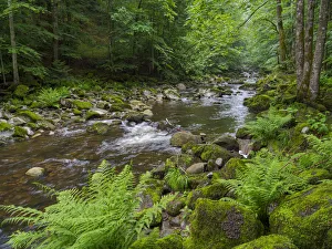 Images Dated 30th March 2021: Valley of river Wolfsteiner Ohe (Buchberger Leite) in the Bavarian Forest