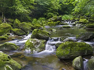 Images Dated 30th March 2021: Valley of river Wolfsteiner Ohe (Buchberger Leite) in the Bavarian Forest