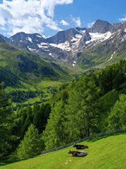 Valley Seeber Tal and Mt. Hochfirst in the Nature Park Texelgruppe in the Passeier Valley in the Otztal Alps. Italy, South Tyrol
