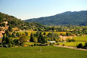 Valley with vineyards in Calistoga, California