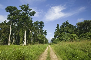 Images Dated 7th October 2007: VANUATU, Espiritu Santo Island, SHARK BAY. East Santo Island Road
