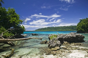 Vanuatu Prints: Vanuatu, Espiritu Santo Island, HOG HARBOUR. View of Golden Beach