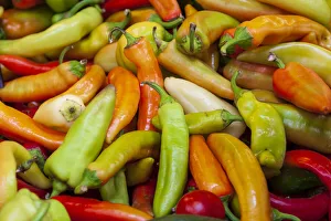 Chili Prints: Variety of peppers