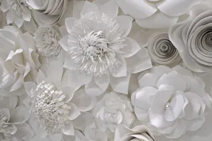 New York City Prints: Variety of white flower designs made from cut paper. New York City, New York, USA