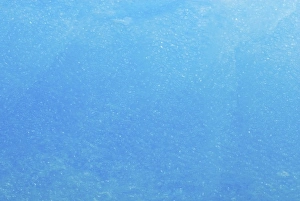 Images Dated 14th May 2005: various textures on an iceberg floating off the western Antarctic peninsula, Antarctica