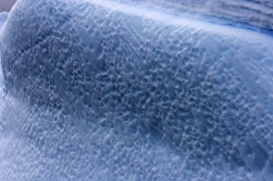 Images Dated 4th February 2007: various textures on an iceberg floating off the western Antarctic peninsula, Antarctica