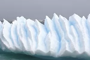 Images Dated 3rd February 2007: various textures on an iceberg floating off the western Antarctic peninsula, Antarctica