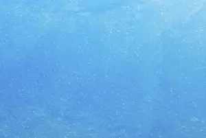 Images Dated 14th May 2005: various textures on an iceberg floating off the western Antarctic peninsula, Antarctica
