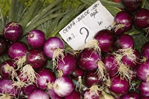 Images Dated 8th August 2007: Vegetable stand in the vegetable market in Brasov