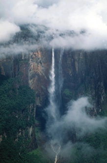 Images Dated 19th January 2011: Venezuela, Angel Falls, Canaima National Park