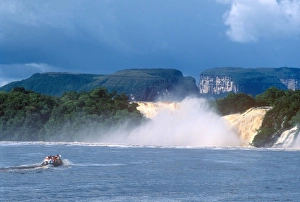 Images Dated 19th January 2011: Venezuela, Angel Falls, Canaima National Park