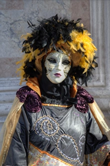 Images Dated 23rd February 2014: Venice at Carnival Time, Italy