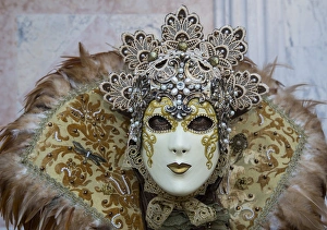 Images Dated 3rd March 2014: Venice at Carnival Time, Italy