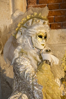 Images Dated 26th February 2014: Venice at Carnival Time, Italy