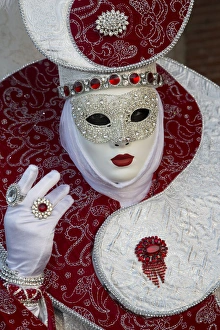 Images Dated 3rd March 2014: Venice at Carnival Time, Italy