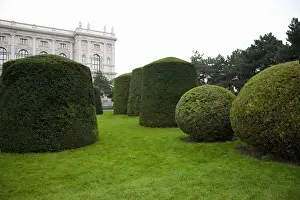 Yard Prints: Vienna, Austria - Trimmed hedges and a well-manicured lawn. An ornately designed