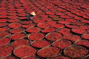 Candy Prints: Vietnam. Candy drying in baskets under the sun