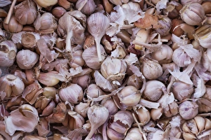 Vietnam Collection: Vietnam, Dien Bien Phu, city market, garlic