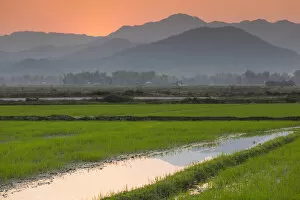 Vietnam Collection: Vietnam, Dien Bien Phu, rice fields at sunset