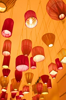 Vietnam Collection: Vietnam, Hanoi, Tet Lunar New Tear decorations