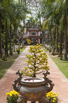 Vietnam Collection: Vietnam, Hue, Dieu De Pagoda, exterior detail