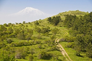 Armenia Prints: View over the Araratian Plain towards Mount Ararat, Armenia