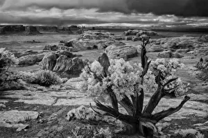 Images Dated 27th February 2008: View from atop Hunts Mesa in Monument Valley Tribal Park of the Navajo Nation, AZ