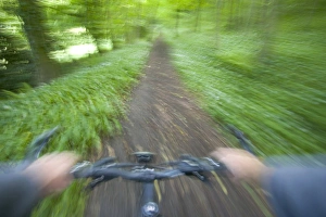 Wooded Prints: View from bicycle along wooded track, Uley, Gloucestershire, England, UK
