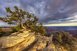 View from Bright Angel Point on the North Rim of Grand Canyon National Park, Arizona, USA