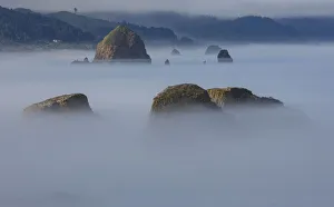 Foggy Prints: View of Cannon Beach with sea stacks with rising fog from Ecola State Park