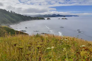 Seastack Prints: View of Cannon Beach with seastack with rising fog from Ecola State Park