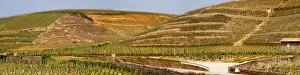 Cultivate Prints: A view over the Crozes-Hermitage vineyards in the part of the appellation closes to Hermitage