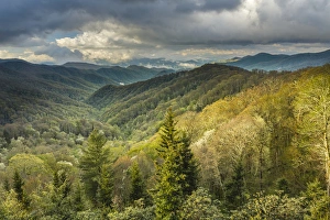 Images Dated 13th October 2017: View of Deep Creek in early spring, Great Smoky Mountains National Park, North Carolina