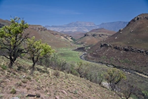 Images Dated 5th September 2007: View of Drakensberg Mountains inDrakensberg Royal Natal NP, South Africa