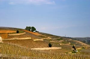 A view east over the terraced vineyards Les Rocules and Les Murets. The Hermitage