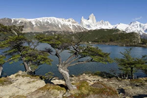 Images Dated 29th October 2007: View of Fitzroy from Lago Capri, Los Glaciares National park, near El Chalten
