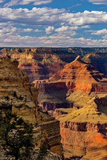 South Rim Prints: View of the Grand Canyon from the South Rim